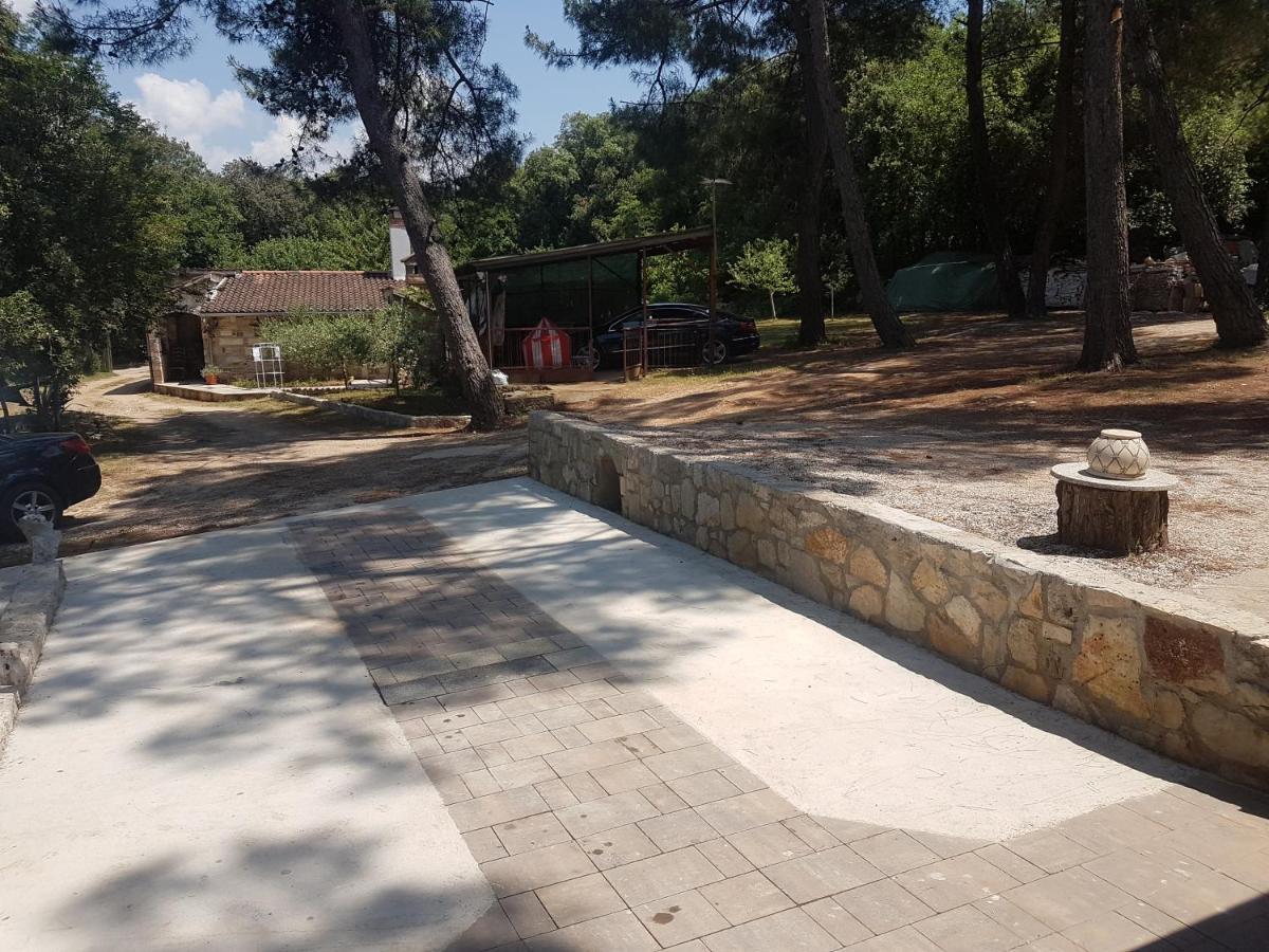 Hana Mare Apartament